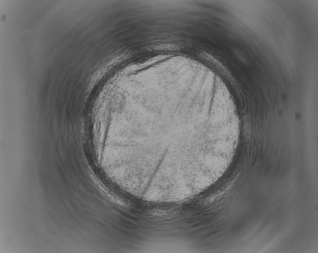 X0000062150725200601060948