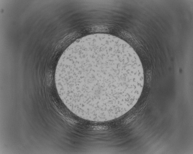 X0000062150741200601060948