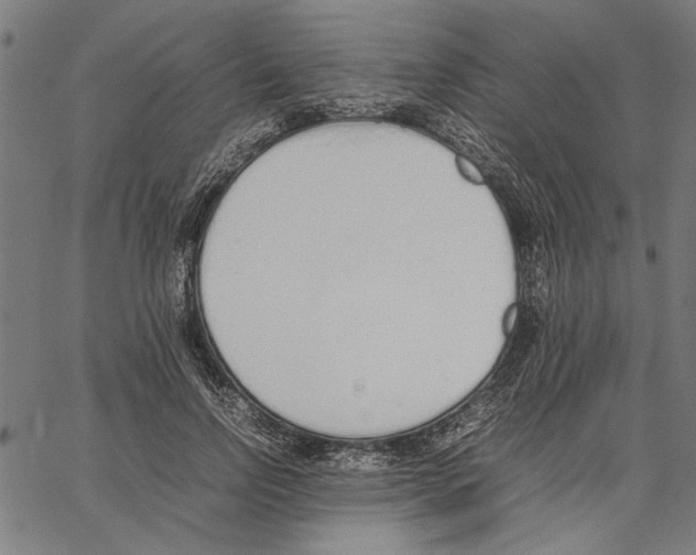 X0000062150742200601060948