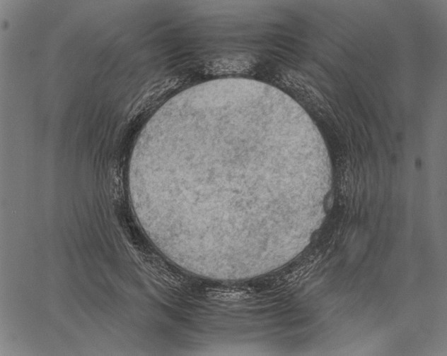 X0000062150743200601060948