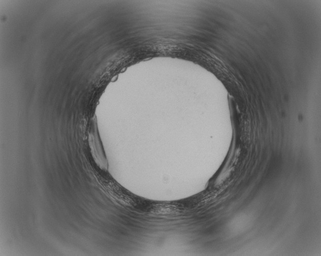 X0000062150750200601060948