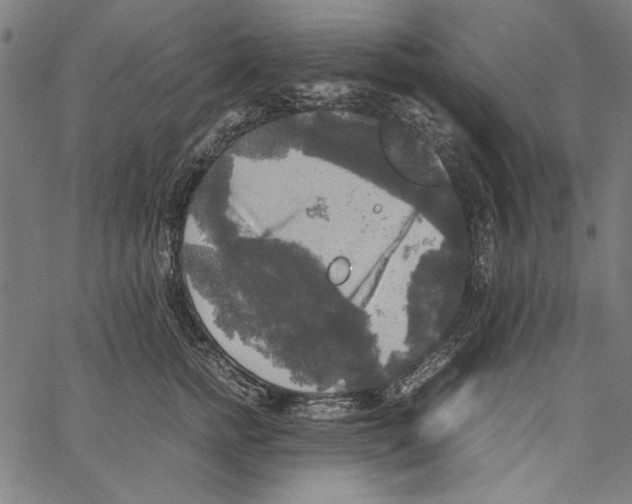 X0000062150758200601060949