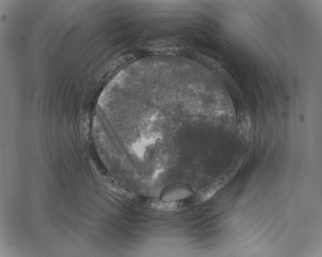 X0000062150767200601060949