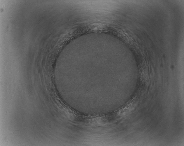 X0000062150769200601060948