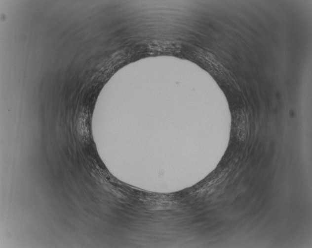 X0000062150770200601060948