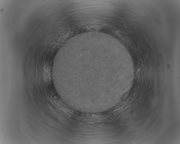 X0000062150772200601060948