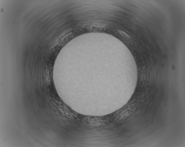 X0000062150774200601060948