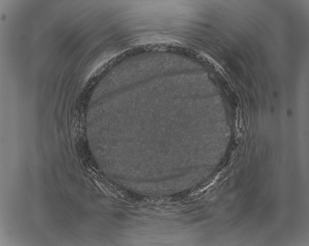 X0000062150775200601060948