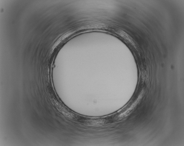 X0000062150781200601060948