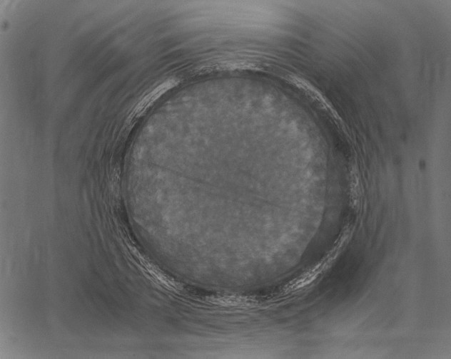X0000062150785200601060948