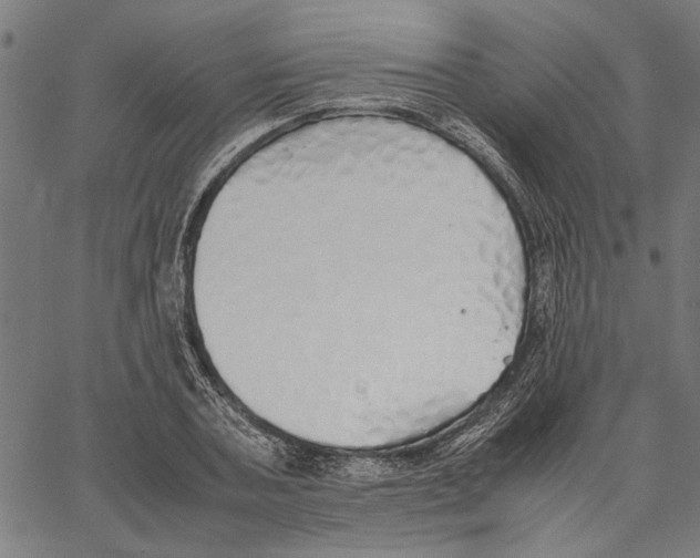 X0000062150787200601060948