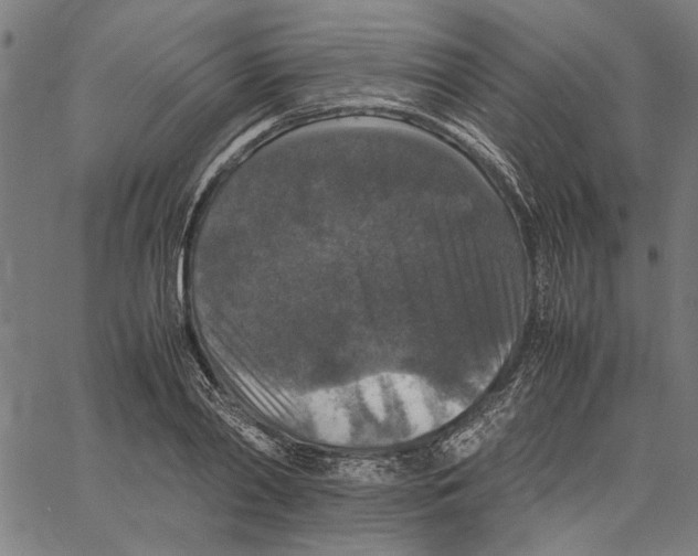 X0000062150790200601060948