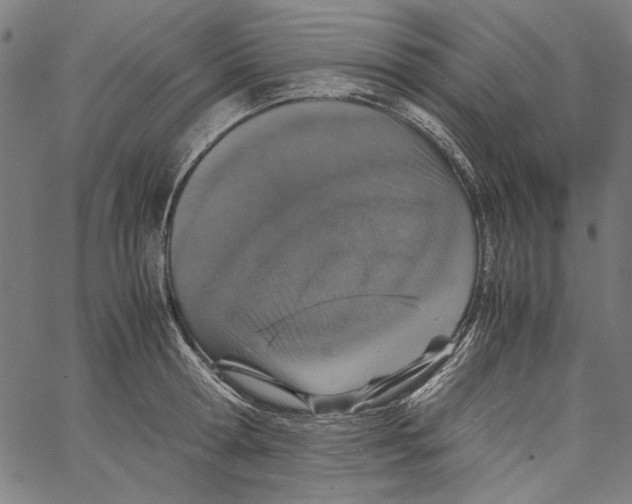 X0000062150802200601060947