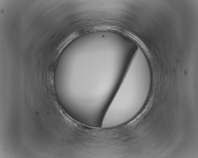 X0000062150809200601060947