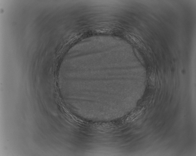 X0000062150817200601060946