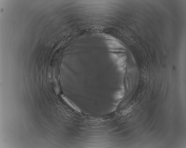 X0000062150818200601060946