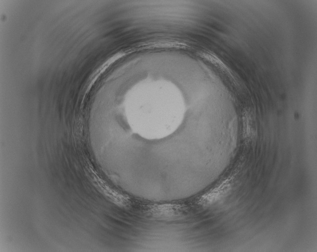 X0000062150828200601060946
