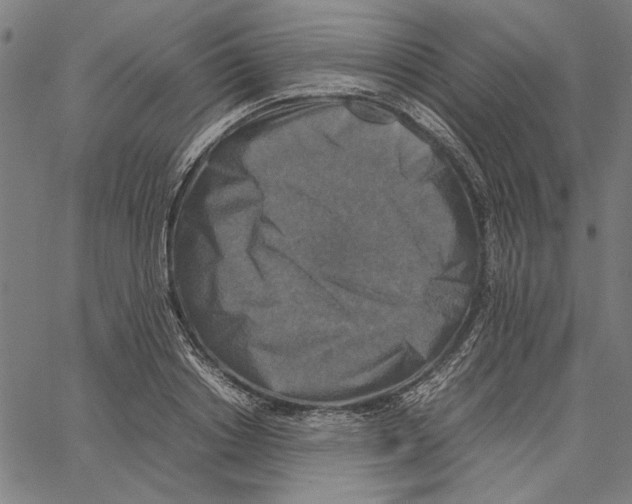 X0000062150842200601060947