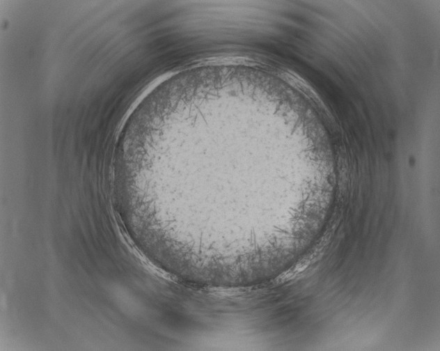 X0000062150852200601060947