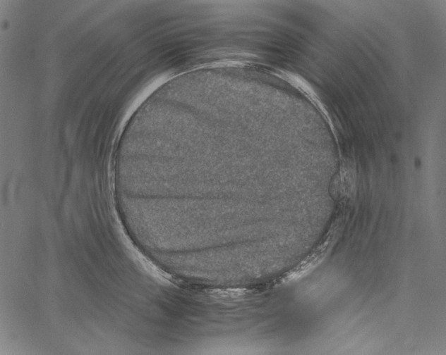 X0000062150859200601060947
