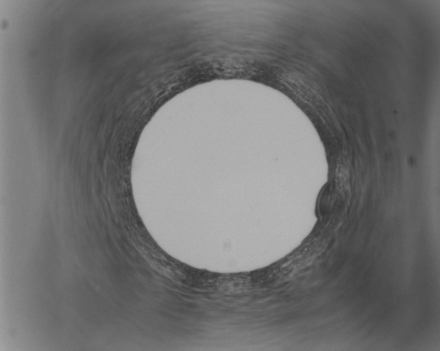 X0000062150865200601060946