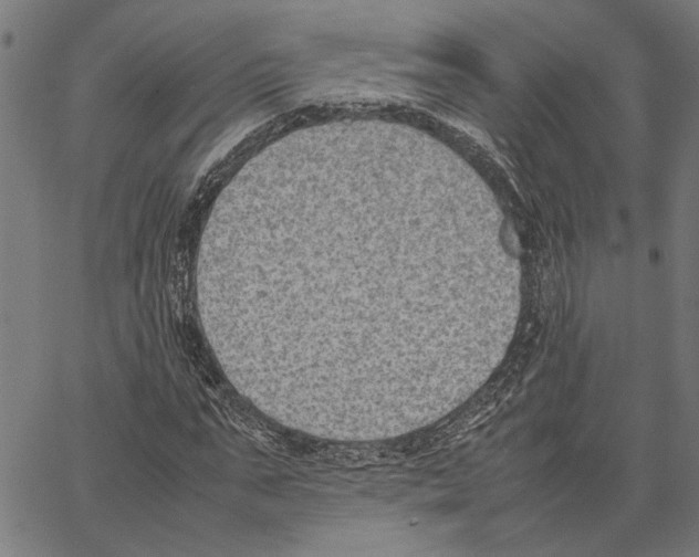 X0000062150871200601060946