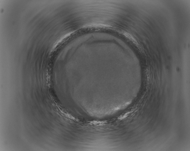 X0000062150872200601060946