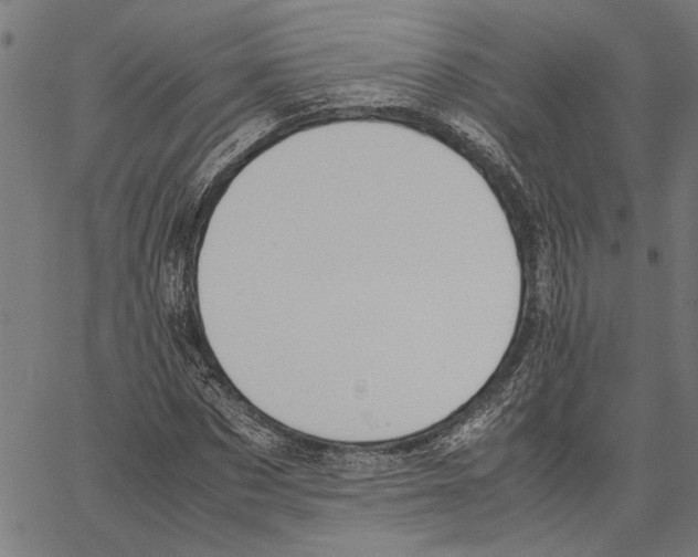 X0000062150873200601060946
