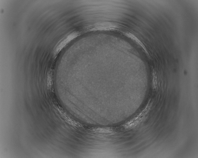 X0000062150874200601060946