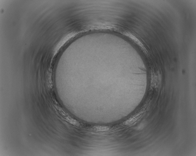 X0000062150878200601060946