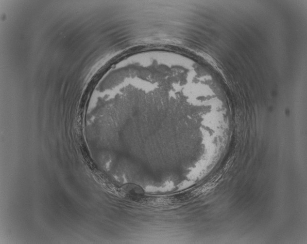 X0000062150879200601060946