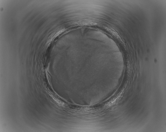 X0000062150881200601060946