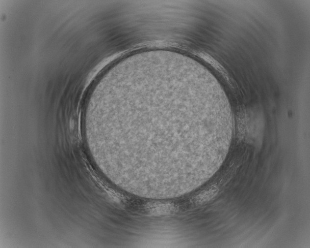 X0000062150886200601060946