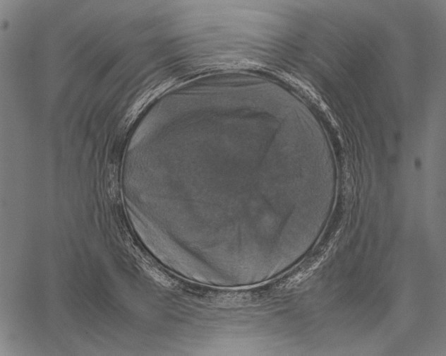 X0000062150889200601060946