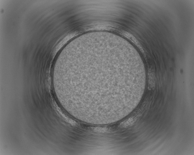 X0000062150890200601060946