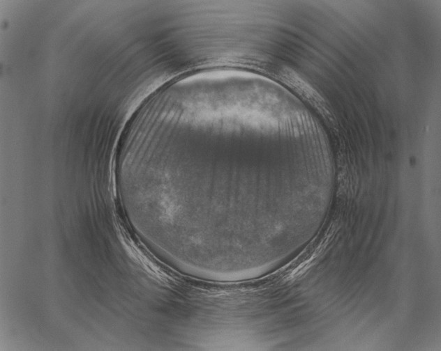 X0000062150892200601060946