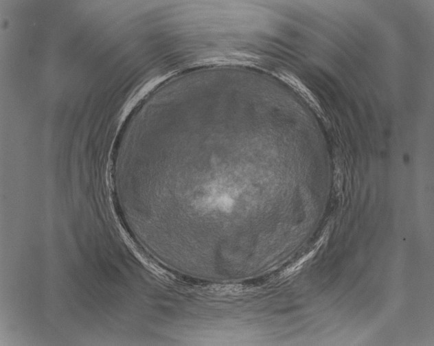 X0000062150893200601060946