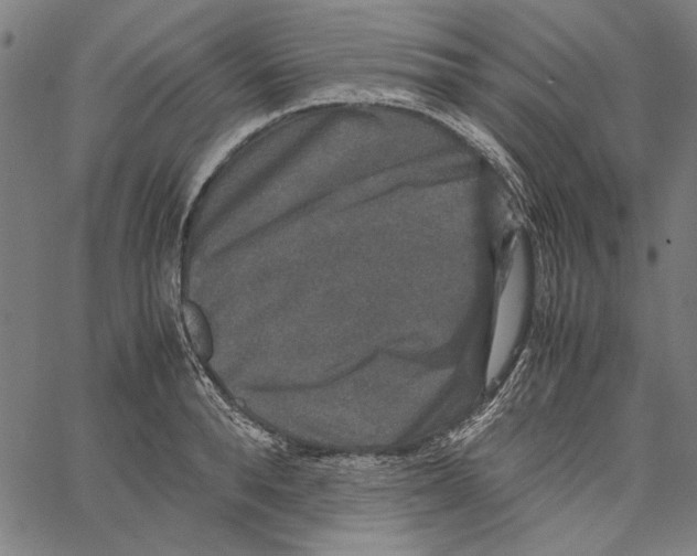 X0000062150896200601060946