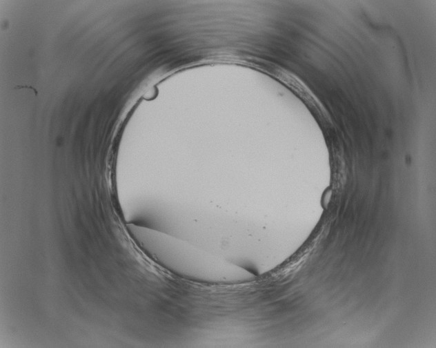 X0000062150908200601060946