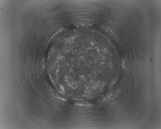 X0000062150915200601060945