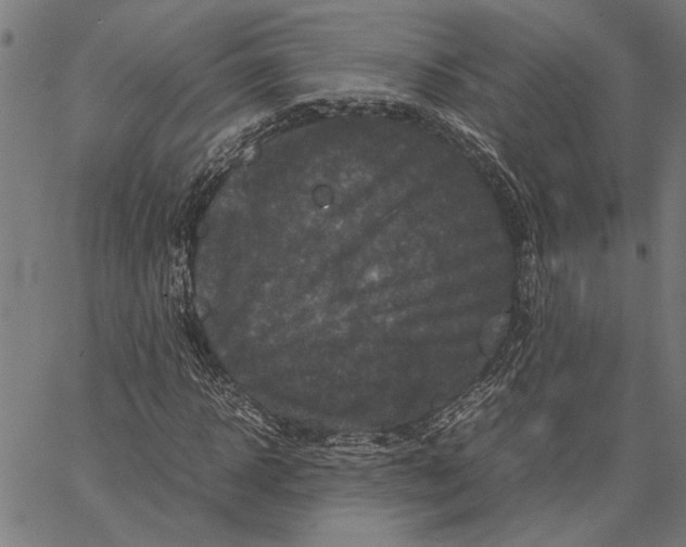 X0000062150918200601060945
