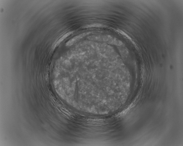 X0000062150921200601060945