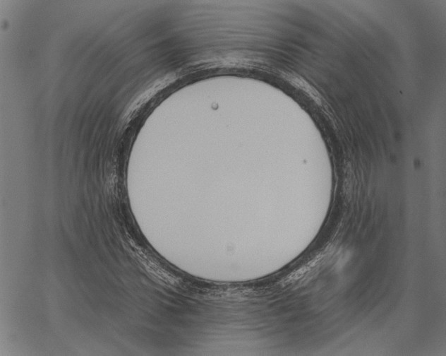 X0000062150922200601060945