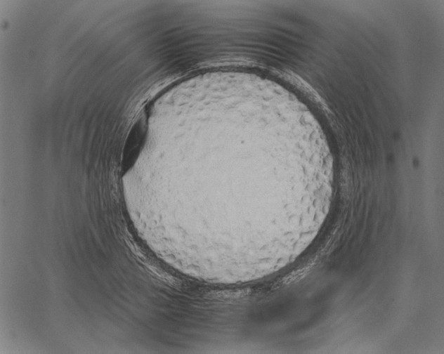 X0000062150937200601060945