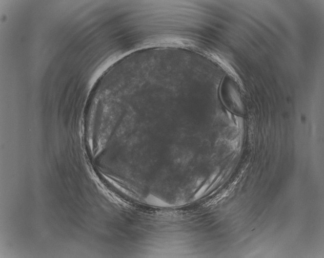 X0000062150944200601060945
