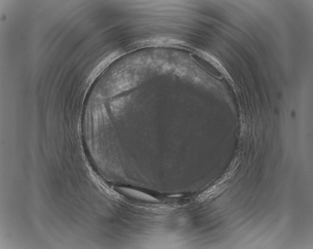 X0000062150946200601060945