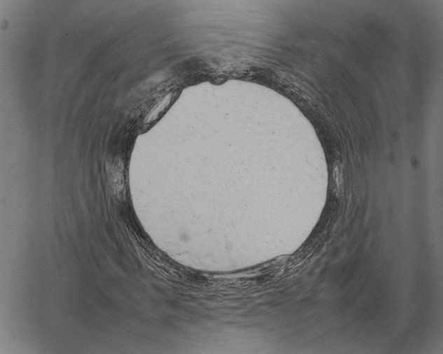 X0000062150963200601060945