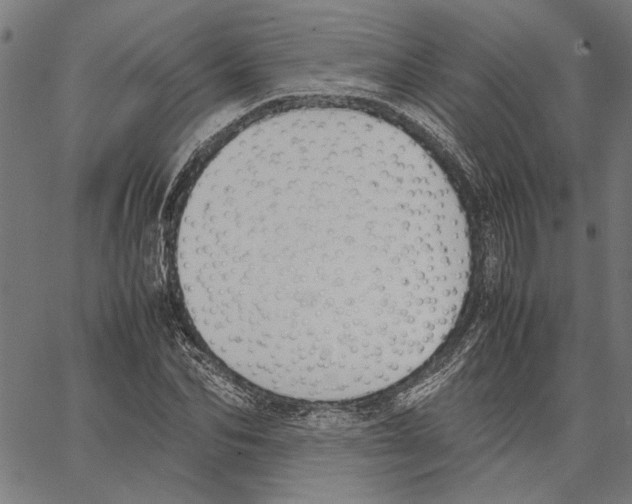 X0000062150974200601060944