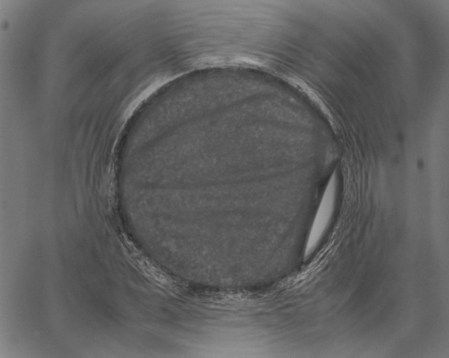 X0000062150975200601060944