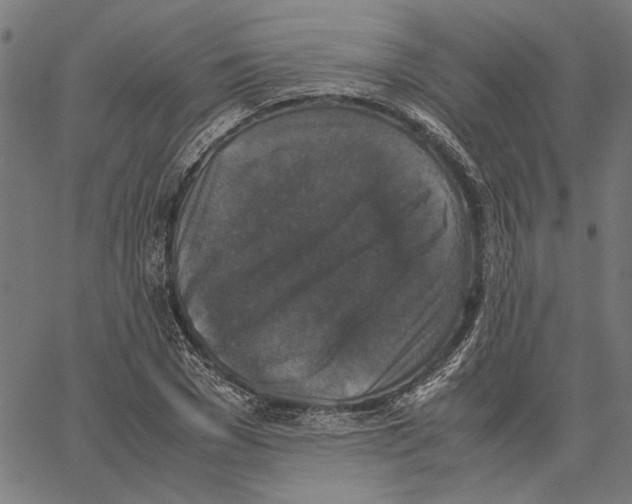 X0000062150977200601060944